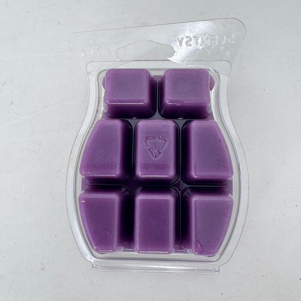 Disney Aladdin Arabian Night Scentsy Bar Melt Wax Slow Burning 3.2 Fl Oz - Picture 4 of 4